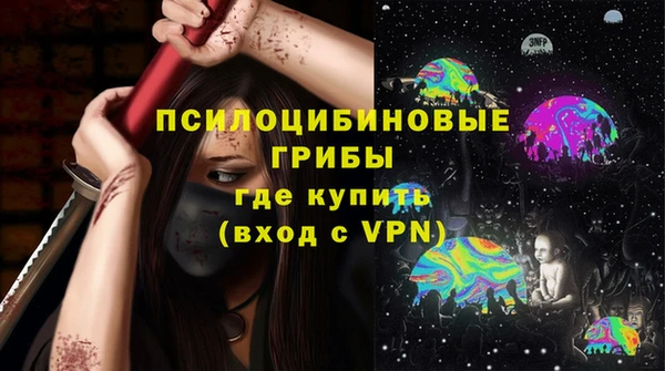 МДПВ Бердск