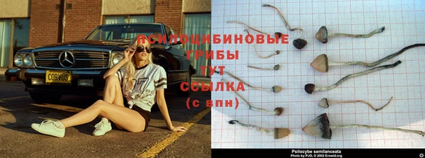 герыч Навашино