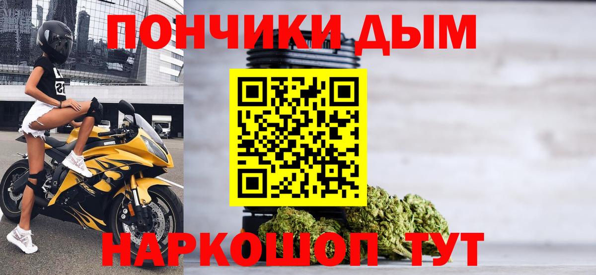Канабис сатива Псков